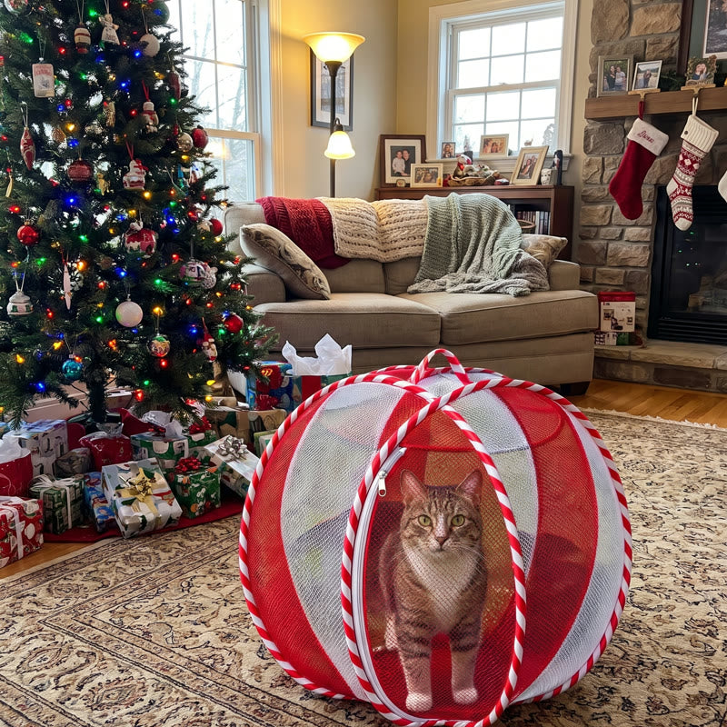 Peppermint by the tree